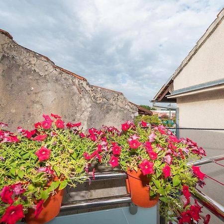 Lavi Apartment Zadar Exterior photo